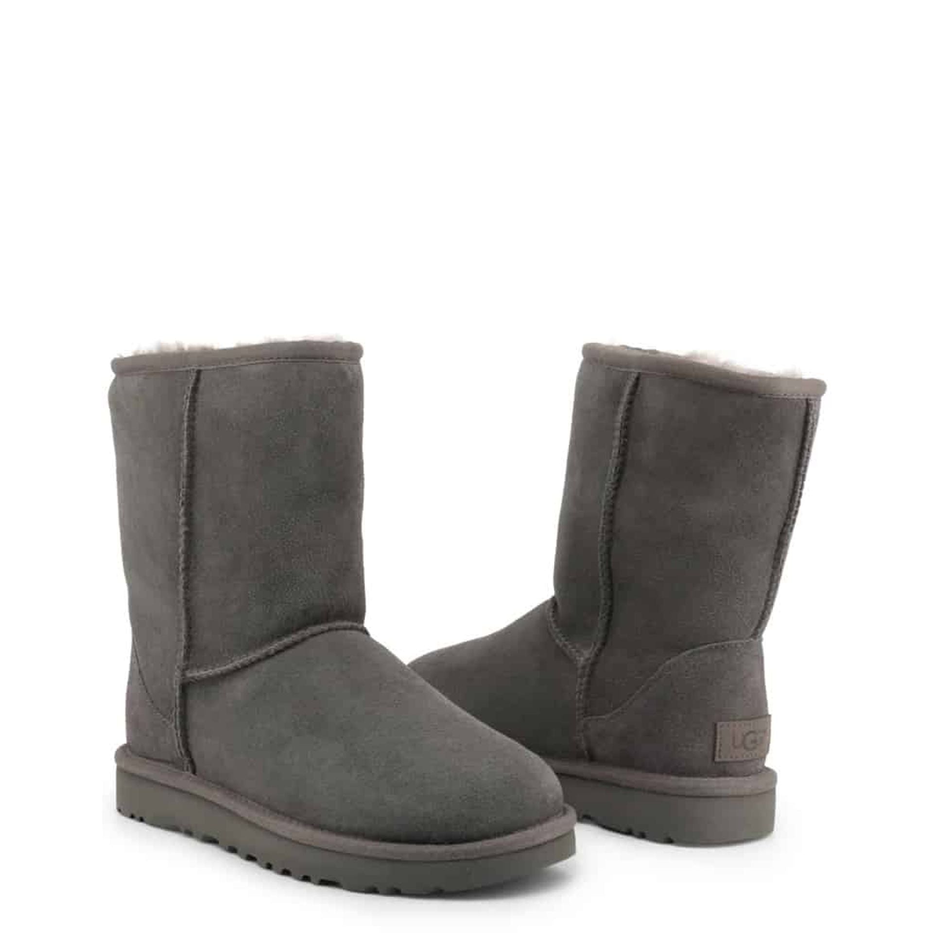 UGG Ankle boots - Fizigo